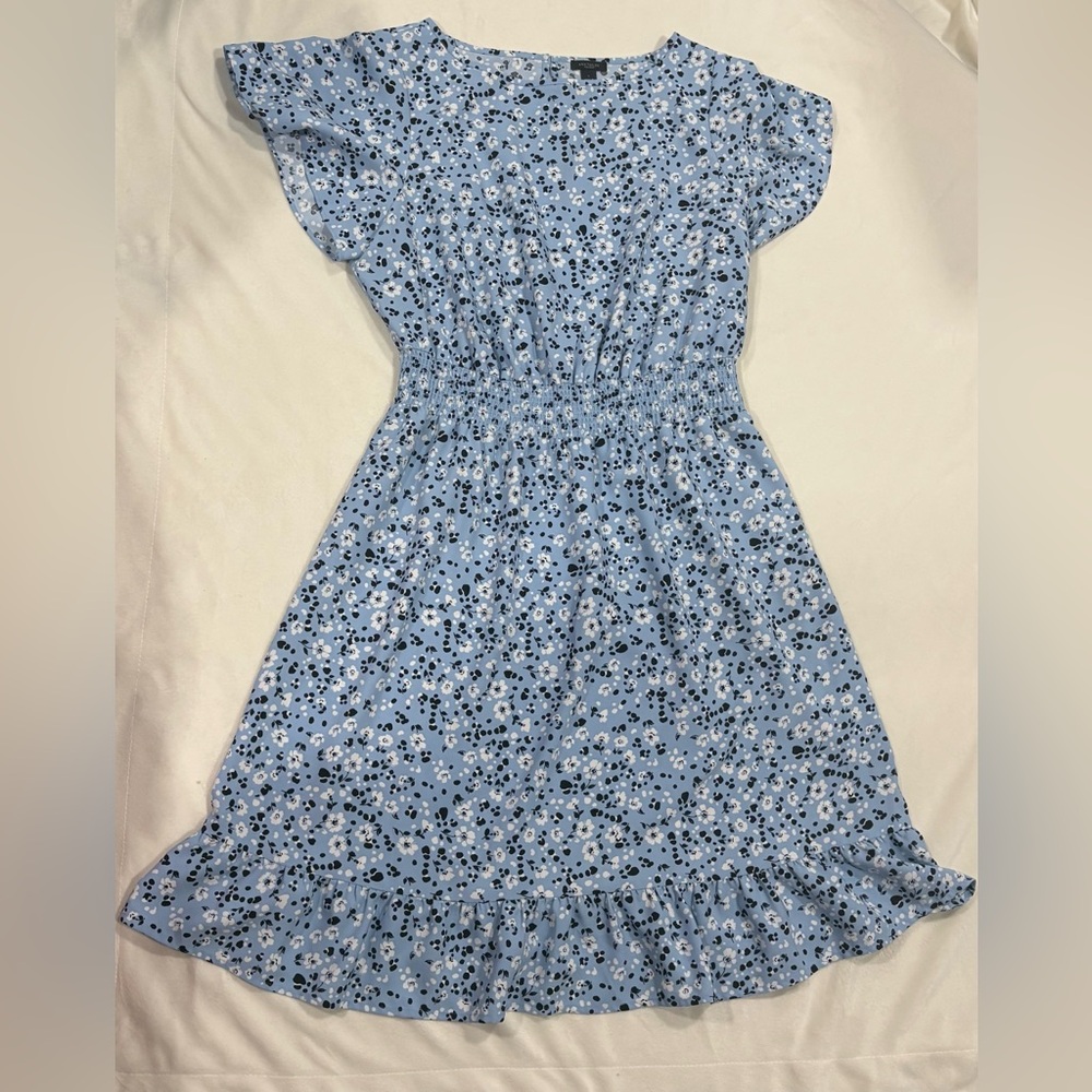 Ann Taylor Factory Floral Flounce Smocked Waist Flutter Sleeve Dress